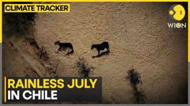 Chile records first rainless July in seven decades | WION Climate Tracker