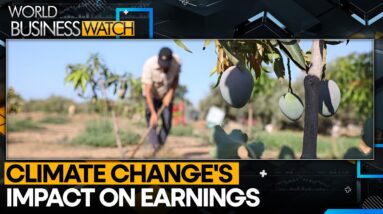 India's climate change impacts the stock market rally | WION Climate Tracker