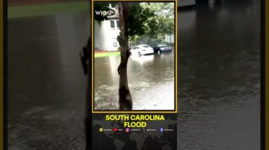 Vehicles stranded in South Carolina flood after Debby dumps torrential rains | WION Shorts