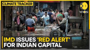 India: Torrential rains lash Delhi-NCR killing 7 | WION Climate Tracker