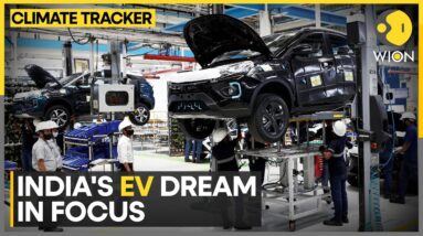 India's EV market: Charging ahead? | WION Climate Tracker | World News