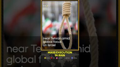 Iran hangs 29 in one day amid execution spree | WION Shorts