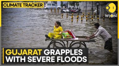 Gujarat Floods: IMD issues 'red' alert, heavy rain to continue | WION Climate Tracker | WION News