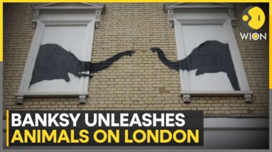 Elusive artist Banksy unleashes animals on London | Latest English News | WION