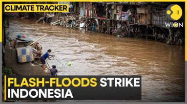 Flash floods claim 13 lives in Indonesia | WION Climate Tracker | WION News