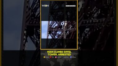 Man climbs Eiffel Tower on Olympics' last day | WION Shorts