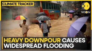 Monsoon mayhem in India | WION Climate Tracker | Latest English News