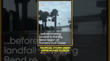 Strong winds batter Florida as Tropical Storm Debby approaches | WION Shorts