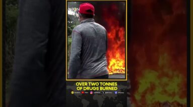 Over two tonnes of drugs burned | WION News | English News