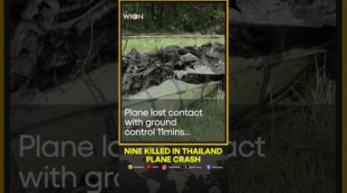 Nine killed in plane crash in Thailand as search is ongoing, says governor | WION Shorts