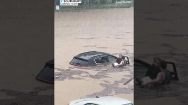 Man rescues amputee motorist and dog stranded in Connecticut flash flooding - ABC News