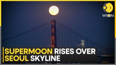 Rare combination of supermoon and blue moon | English News | WION