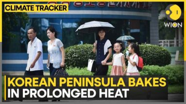 South Korea swelters with 'tropical nights' record in sight | WION Climate Tracker