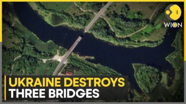 Russia-Ukraine War: Kyiv reports hitting Russian Pontoon Bridges with US made weapons | WION News