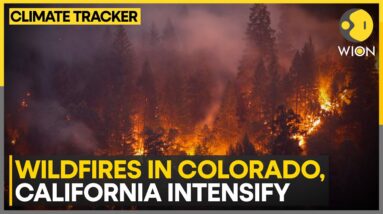 US: Park fire in California has swelled to 390,000 acres | WION Climate Tracker