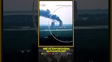 Zelensky says Russian forces lit fire at Zaporizhzhia nuclear plant | WION Shorts