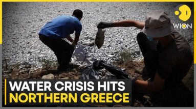 Water crisis arises in Greece due to prolonged drought conditions | WION Climate Tracker