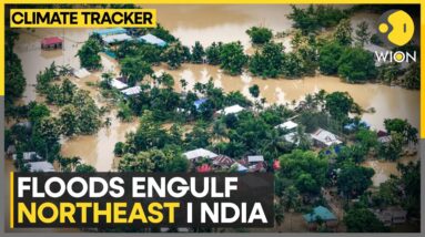 Heavy rains cause flash floods in India's northeastern states | WION Climate Tracker | WION News