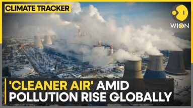 South Asia air pollution fell in 2022: Report | WION Climate Tracker