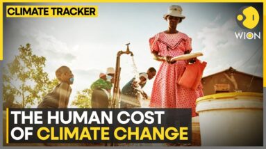 Southern Africa faces devastating drought | WION Climate Tracker