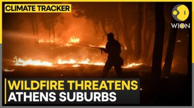 Greece Wildfires: First death reported as wildfires rage across Athens | WION Climate Tracker