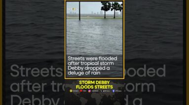 Storm Debby floods streets in Tampa, Florida | WION Shorts