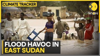 Sudan Flood: Death toll up to 138, scores missing | WION Climate Tracker