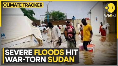 Sudan grappling with heavy rain and flooding | WION Climate Tracker