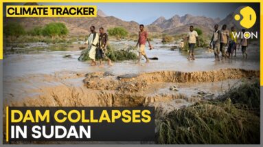 Sudan: At least 132 dead in flooding after heavy rainfall | WION Climate Tracker