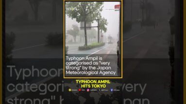 Typhoon Ampil lashes city south of Tokyo | WION Shorts