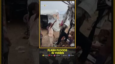 UN: At least 24 dead in Yemen floods as search goes on | WION News