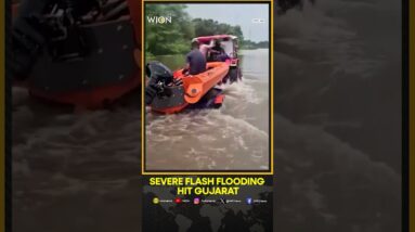 Gujarat Floods: Severe flash flooding after torrential rains hit western India | WION News