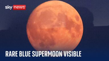 Watch live: Rare blue supermoon appears on the horizon