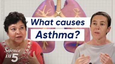 WHO’s Science in 5 - Asthma: what you need to know - 2 August 2024