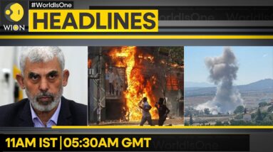 Israeli strikes kill 6 Hezbollah fighters; Blinken: Upto Sinwar to decide on truce| WION Headlines