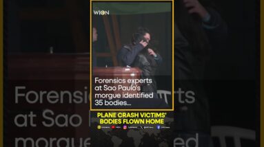 Brazil plane crash victims being identified, bodies flown home | WION Shorts