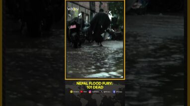 Nepal Floods: 101 dead, 64 missing in Nepal floods after relentless monsoon rains | WION Shorts