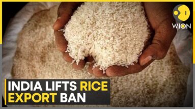 India Lifts Non-Basmati Export Ban Amid Strong Global Demand | Latest English News | WION