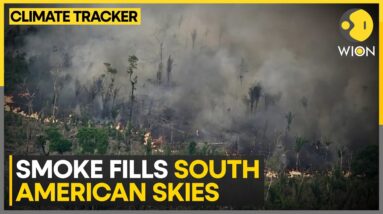 Smoke from Brazil fire cloud major cities | WION Climate Tracker | English News | WION