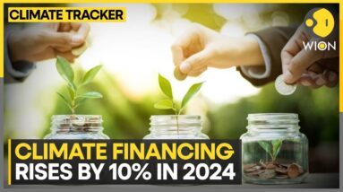 World Bank Sets Record In Climate Financing: Major Boost For Sustainability! | WION Climate Tracker