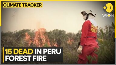 Peru Forest Fires: 98 others injured as a result of the fires | WION Climate Tracker