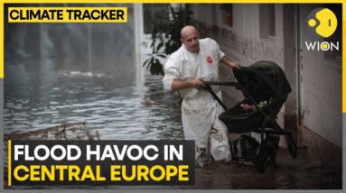 Flood Wreaks Havoc In East And Central Europe | WION Climate Tracker | World News | WION