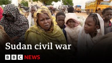 Sudan on verge of 'worst famine in the world' as civil war continues | BBC News