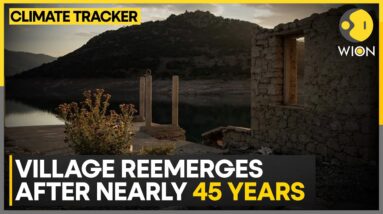 Sunken village emerges as Greek drought bites | WION Climate Tracker | WION News