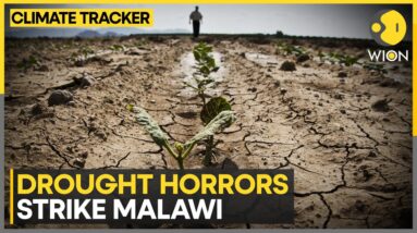 44% of Malawi's crop area affected by drought | WION Climate Tracker