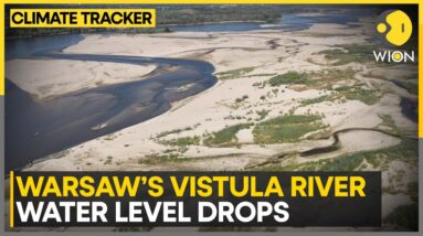 Vistula River hits all-time low in Warsaw amid heatwave | WION Climate Tracker