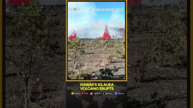 Aerial footage shows lava fountains as Hawaii's Kilauea volcano erupts | WION Shorts