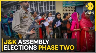 Jammu and Kashmir Assembly Election 2024: What Is The Voter Turnout This Time? | WION