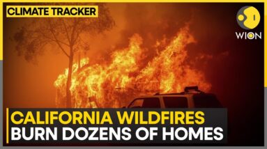 California wildfires devastate dozens of homes, fueled by intense heatwave | WION Climate Tracker