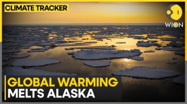 Climate Change Devastates Alaska Village as Global Warming Intensifies | WION Climate Tracker